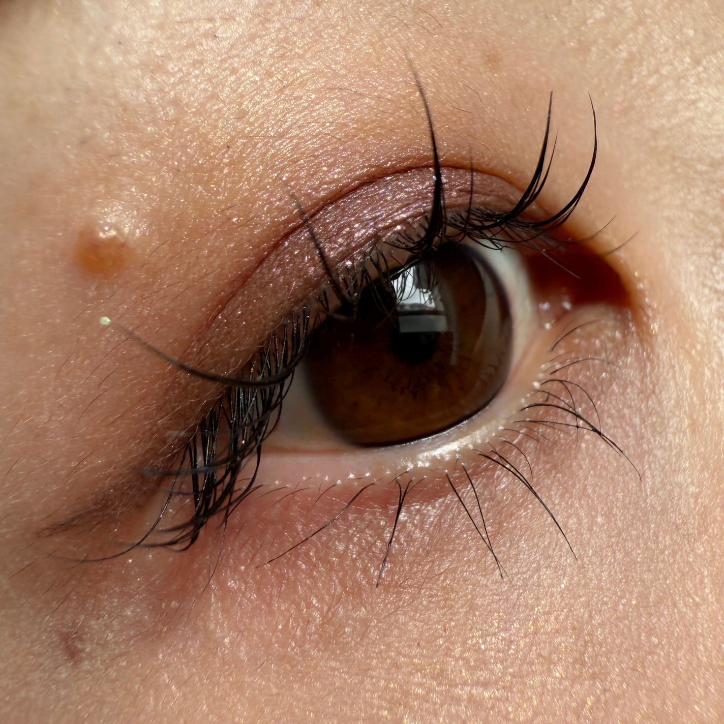 RMK インフィニシェイド シングル アイシャドウ/RMK/単色アイシャドウを使ったクチコミ(1枚目)