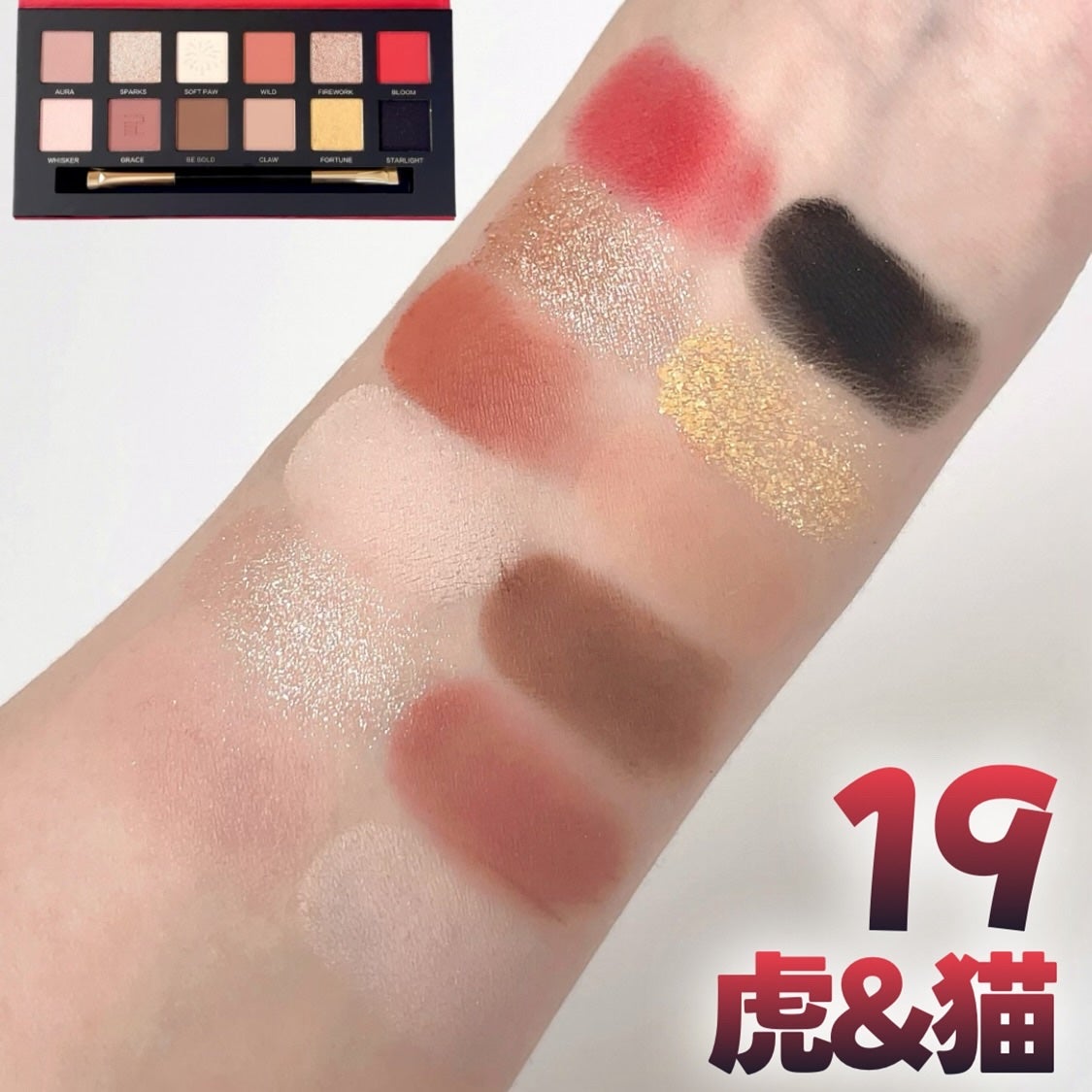 エクスプローラ12色 動物アイシャドウパレット/PERFECT DIARY/アイシャドウパレットを使ったクチコミ(4枚目)