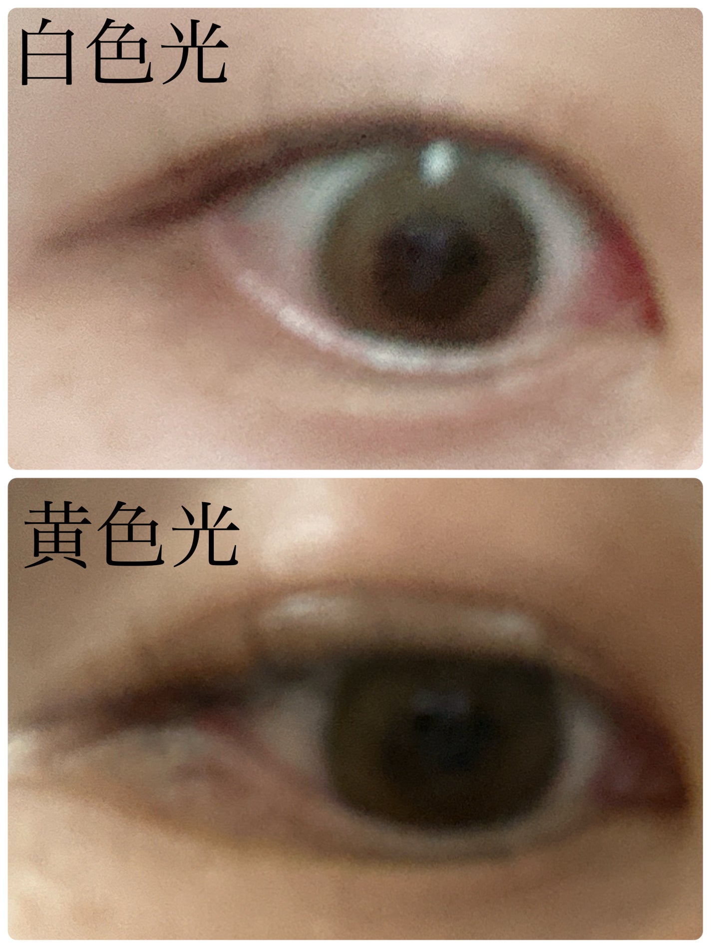 WANAF 1day/WANAF/ワンデー(1DAY)カラコンを使ったクチコミ(2枚目)