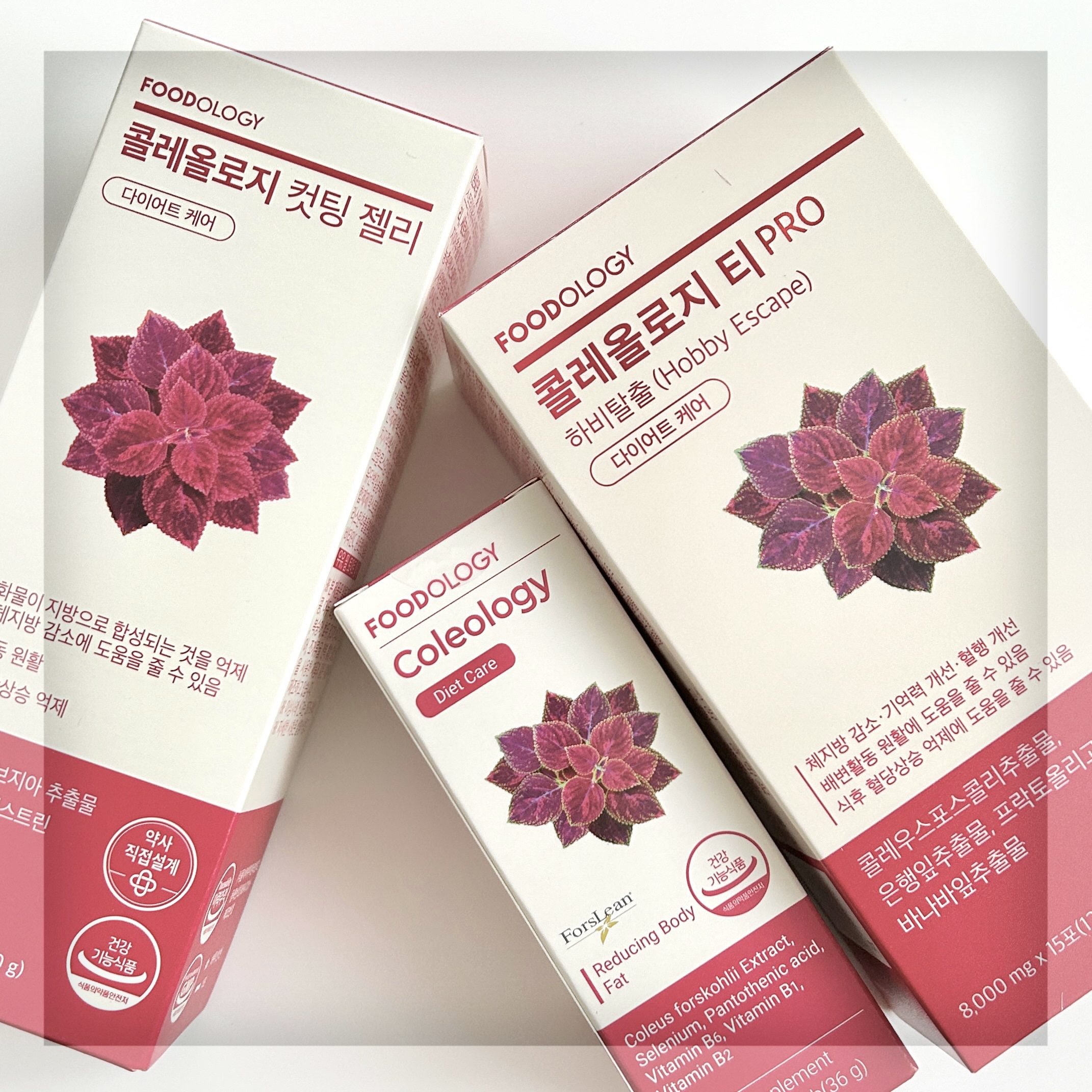 コレオロジーティー/FOODOLOGY/ドリンクを使ったクチコミ（1枚目）