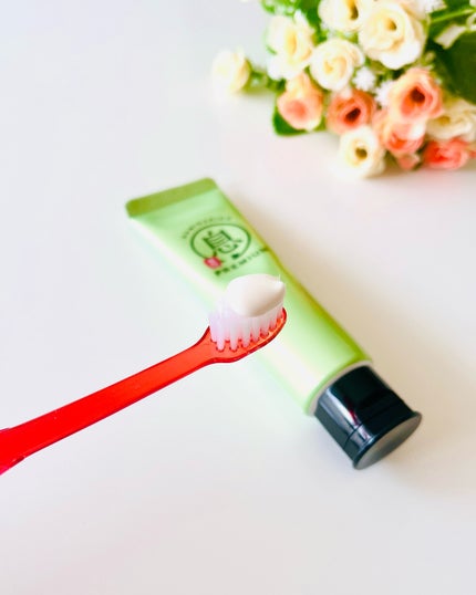 薬用フレッシュペースト【医薬部外品】/歯磨き堂/歯磨き粉を使ったクチコミ(3枚目)