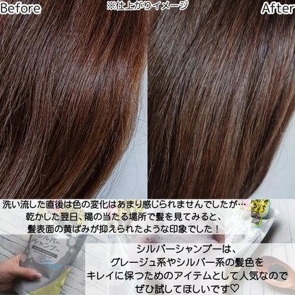 Tottimo! カラーシャンプー/アイケイ/市販シャンプーを使ったクチコミ(4枚目)