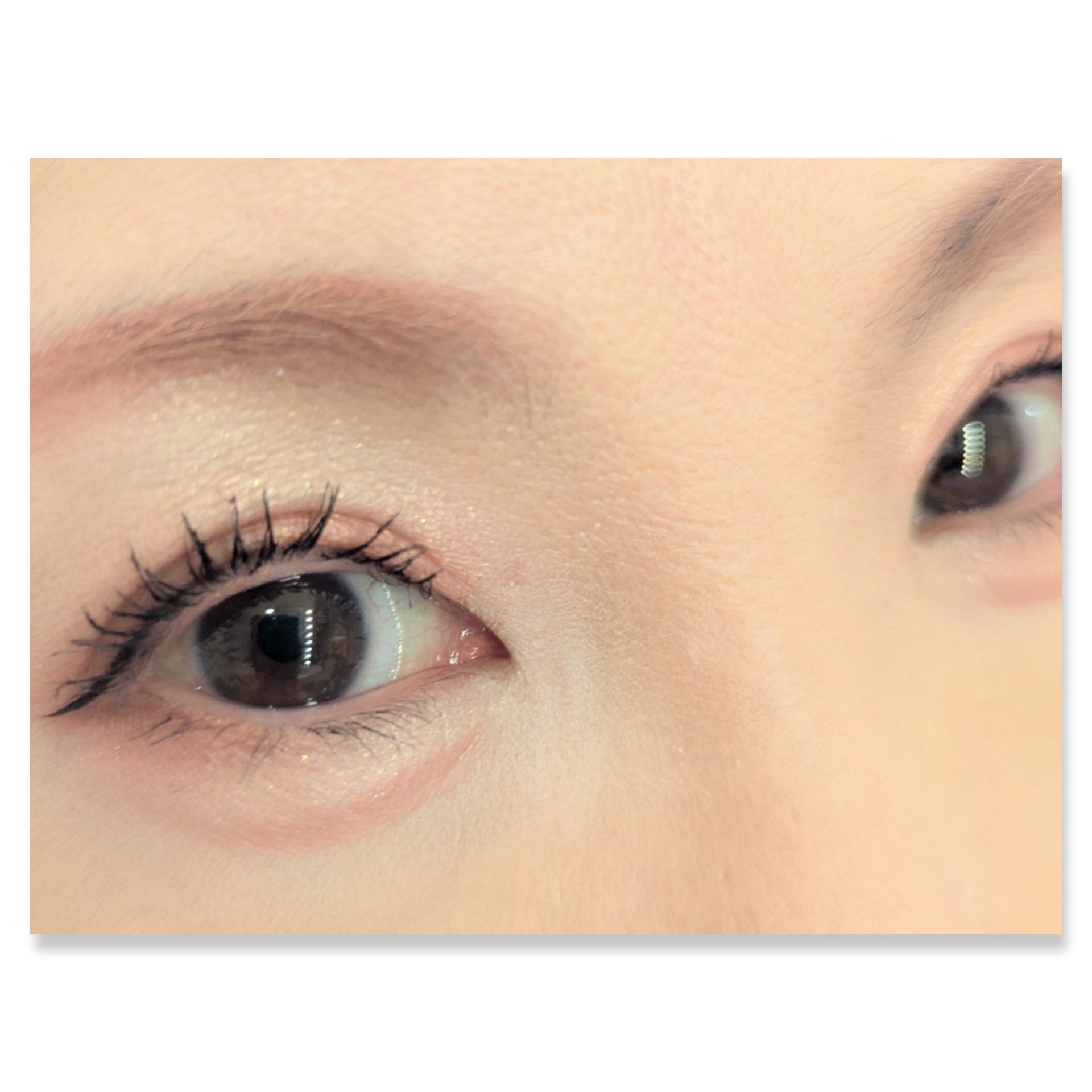 HUAMAO/SHOBIDO/アイシャドウパレットを使ったクチコミ（2枚目）