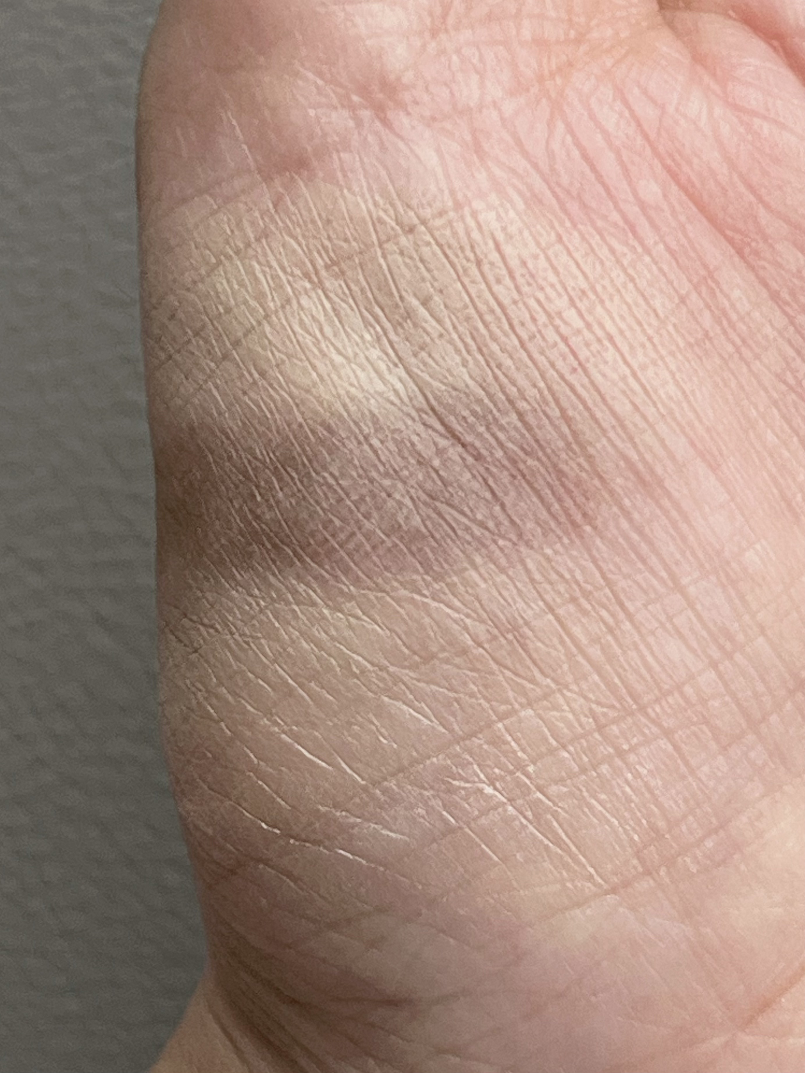 フラッフデザイン アイブロウパウダー/Visée/パウダーアイブロウを使ったクチコミ（2枚目）