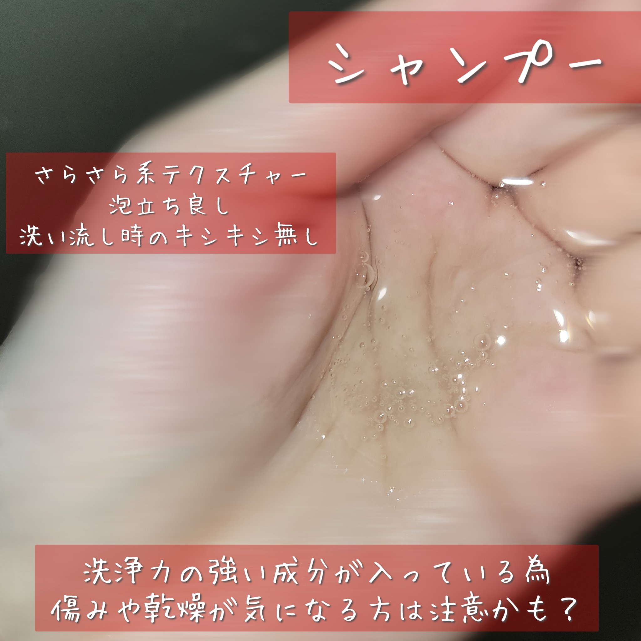 Lapis ラピス エルピーエス Pitoコラボ シャンプー/トリートメント /サロンシャンプー/サロンシャンプーを使ったクチコミ（2枚目）