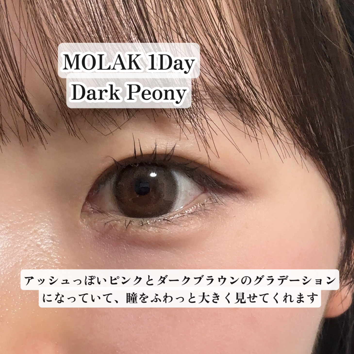 MOLAK 1day/MOLAK/ワンデー（１DAY）カラコンを使ったクチコミ（2枚目）