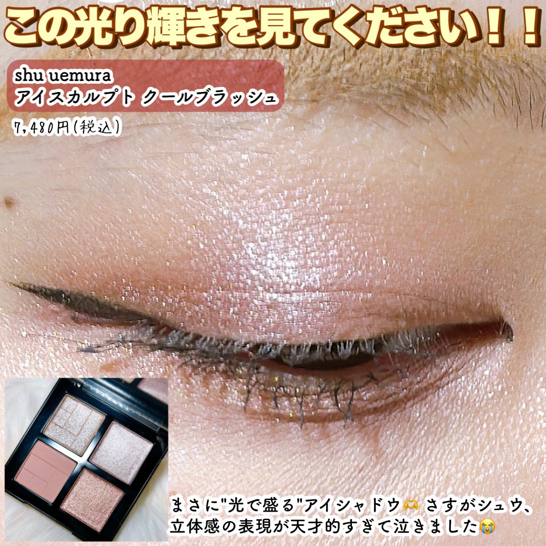 アイスカルプト/shu uemura/アイシャドウパレットを使ったクチコミ(4枚目)