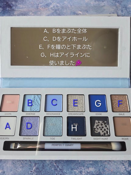 エクスプローラ12色 動物アイシャドウパレット/PERFECT DIARY/アイシャドウパレットを使ったクチコミ(3枚目)