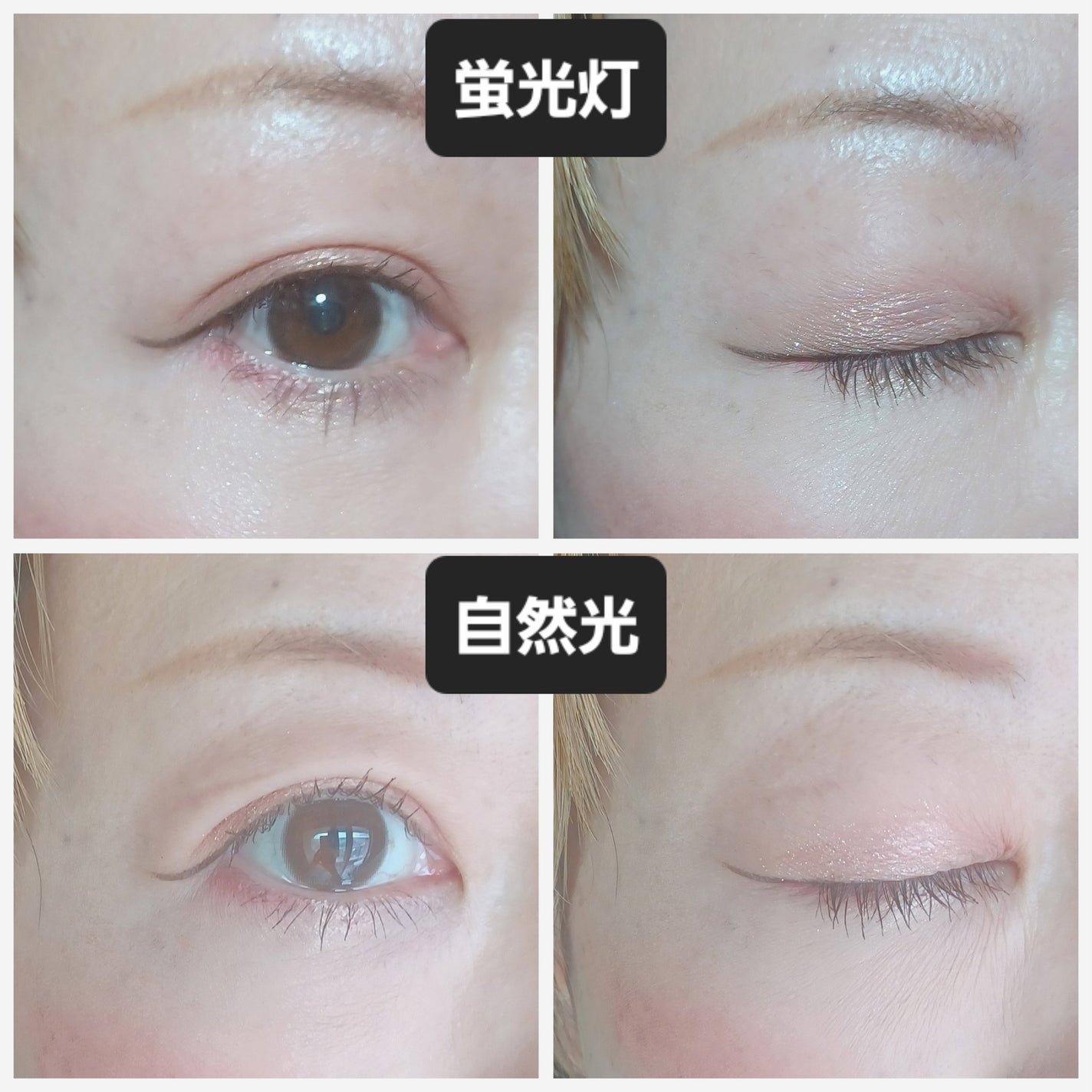 ベターミーアイパレット/2aN/マルチパレットを使ったクチコミ(4枚目)