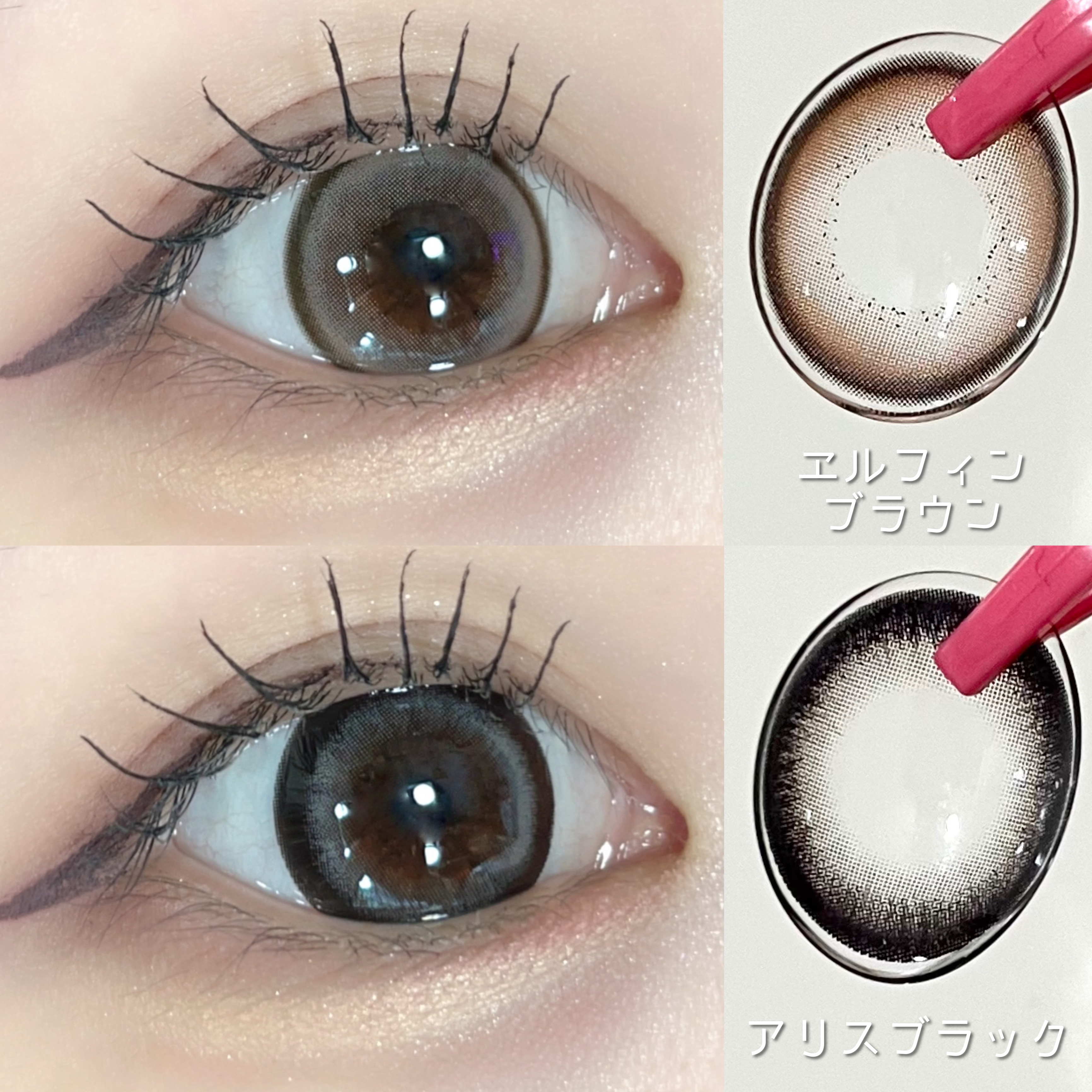 ティミド ワンデー/Timido(ティミド)/ワンデー（１DAY）カラコンを使ったクチコミ（2枚目）