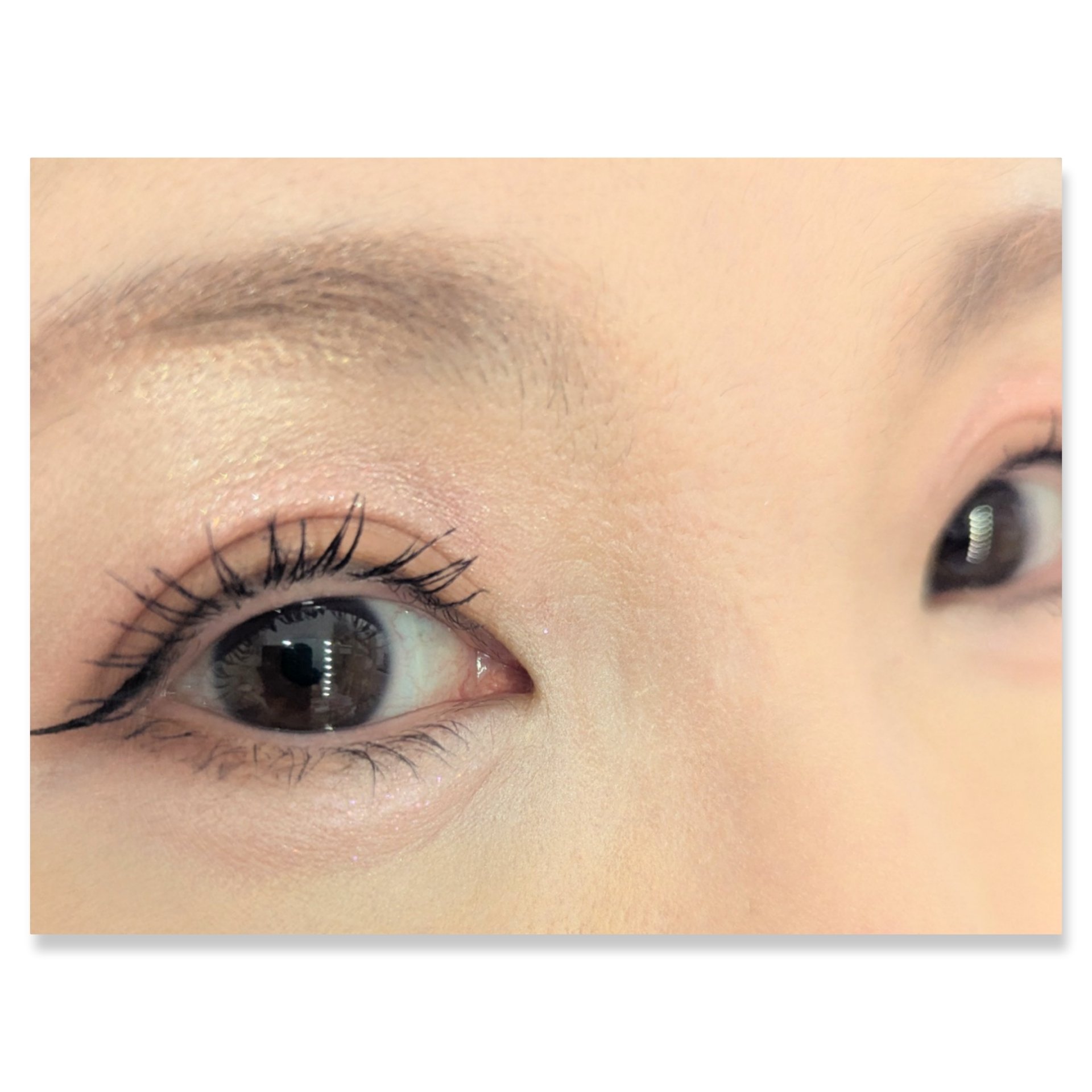 シャドウパレット/dasique/アイシャドウパレットを使ったクチコミ（2枚目）