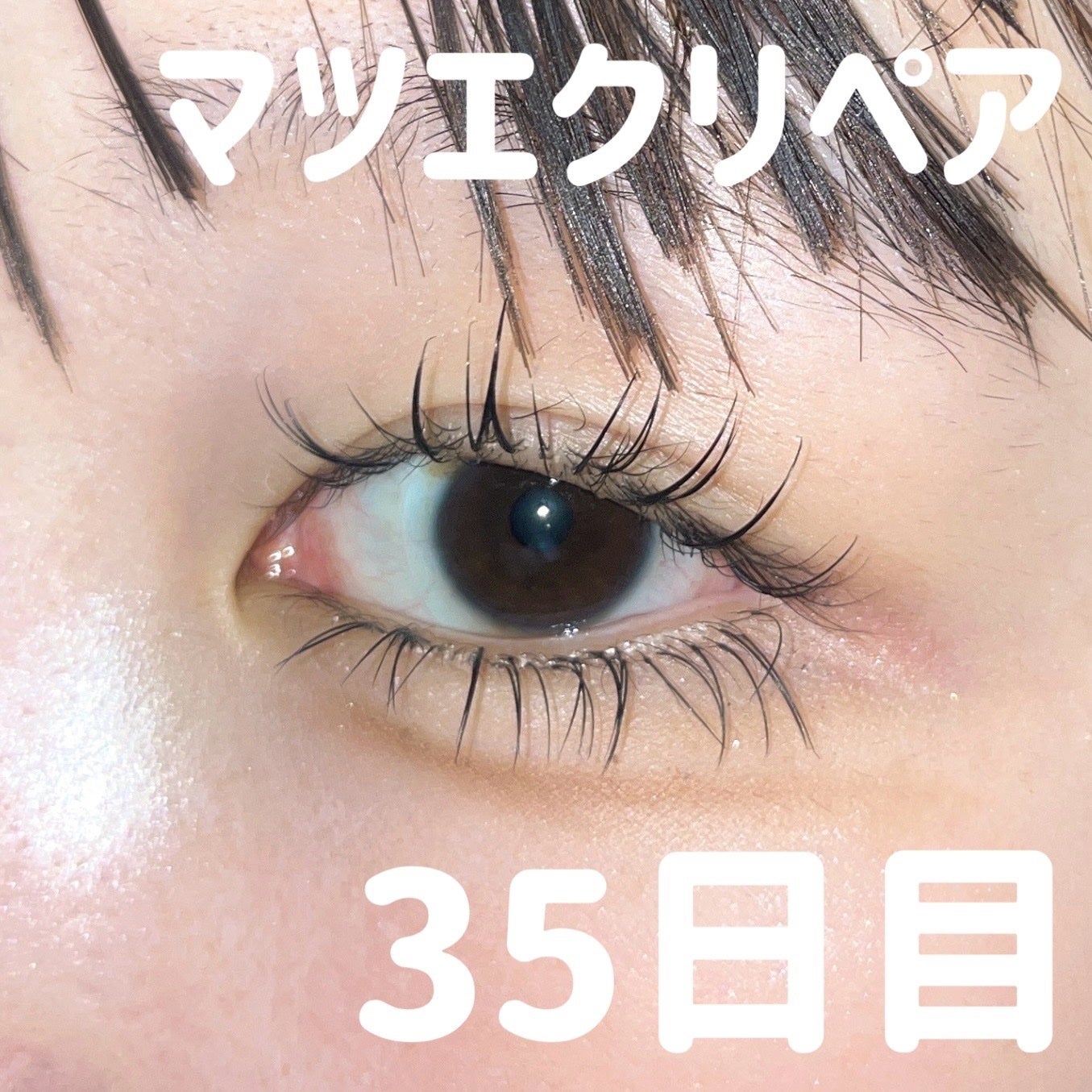 アンダーアイメーカー/dasique/アイシャドウパレットを使ったクチコミ(1枚目)