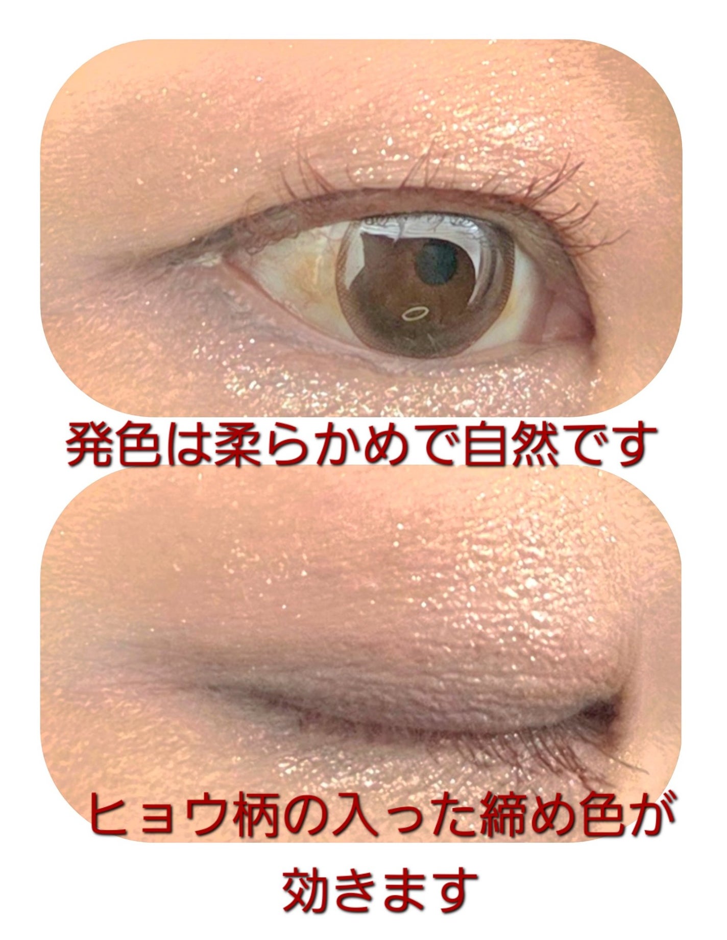 エクスプローラ12色 動物アイシャドウパレット/PERFECT DIARY/アイシャドウパレットを使ったクチコミ(6枚目)