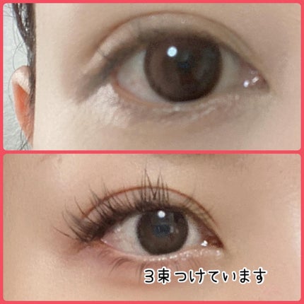 Butterfly Eyelash/BLJ/つけまつげを使ったクチコミ(3枚目)