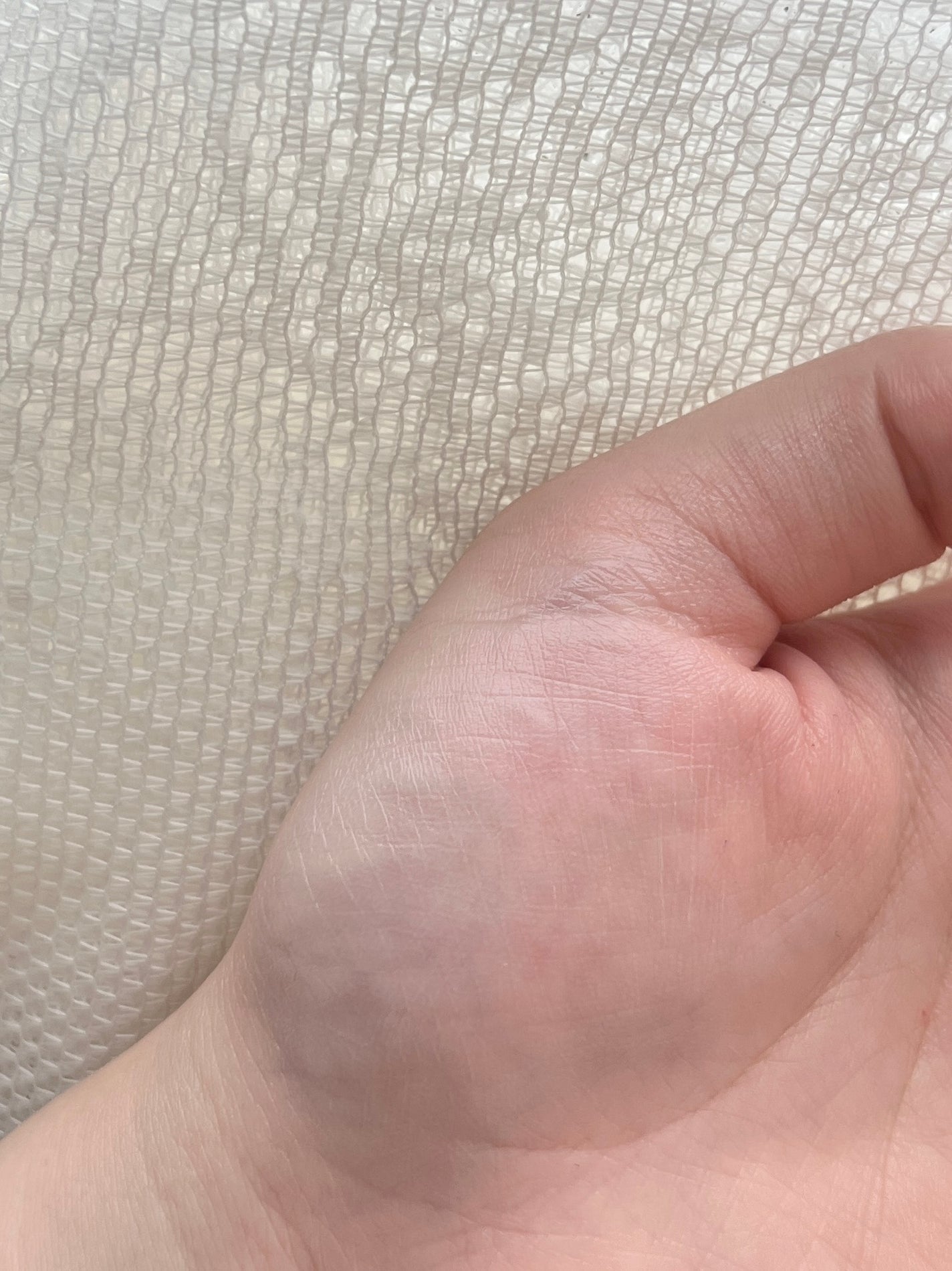 UVイデア XL プロテクショントーンアップ ローズ+/ラ ロッシュ ポゼ/日焼け止め・UVケアを使ったクチコミ(3枚目)