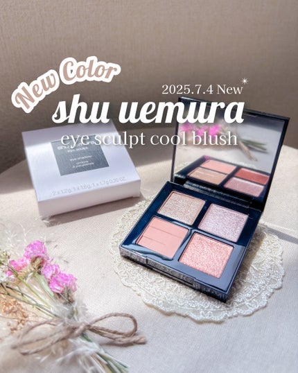 アイスカルプト/shu uemura/アイシャドウパレットを使ったクチコミ(1枚目)