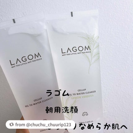 ラゴム ジェルトゥウォーター クレンザー(LV)(朝用洗顔)/LAGOM /その他洗顔料を使ったクチコミ(1枚目)