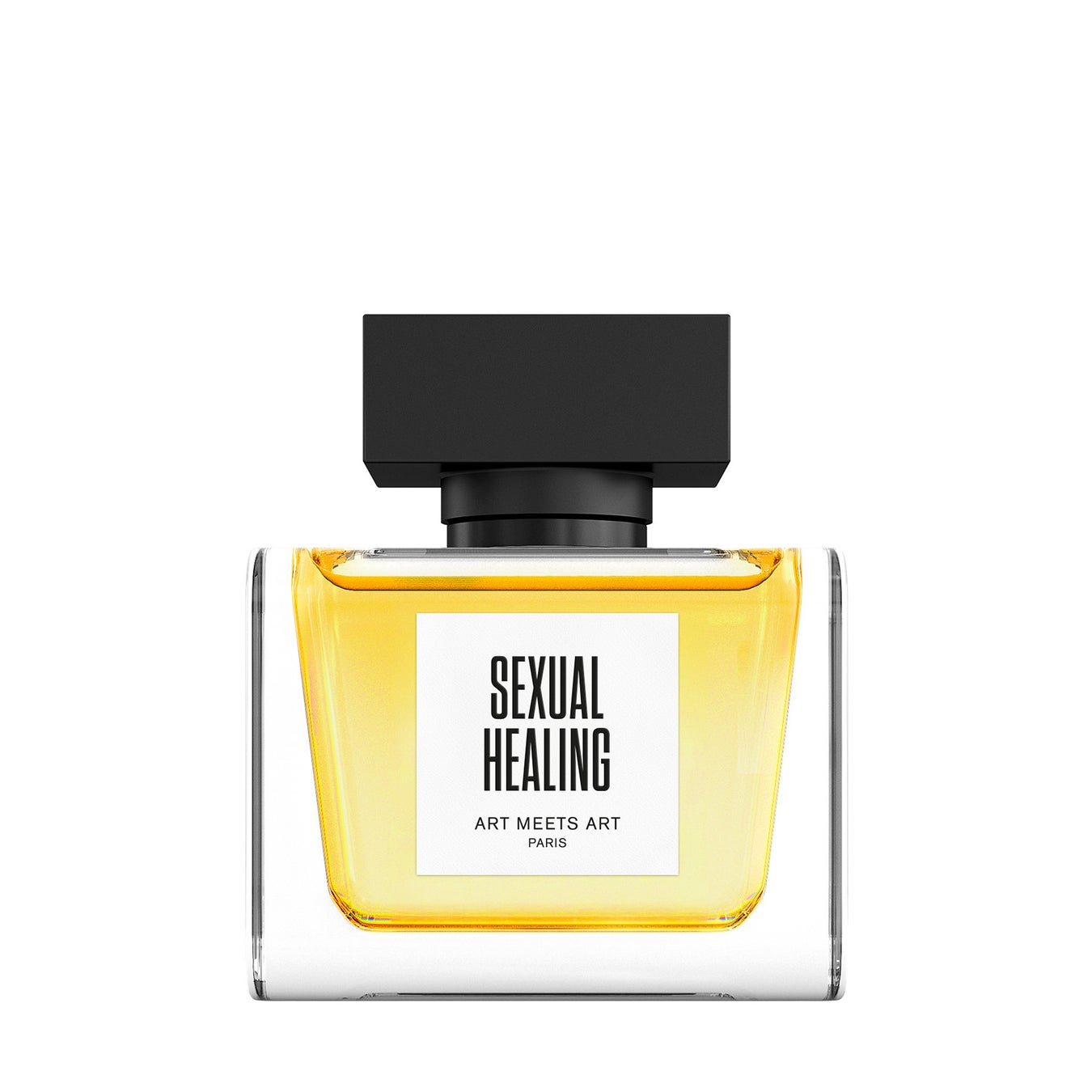 Art Meets Art セクシャル ヒーリング