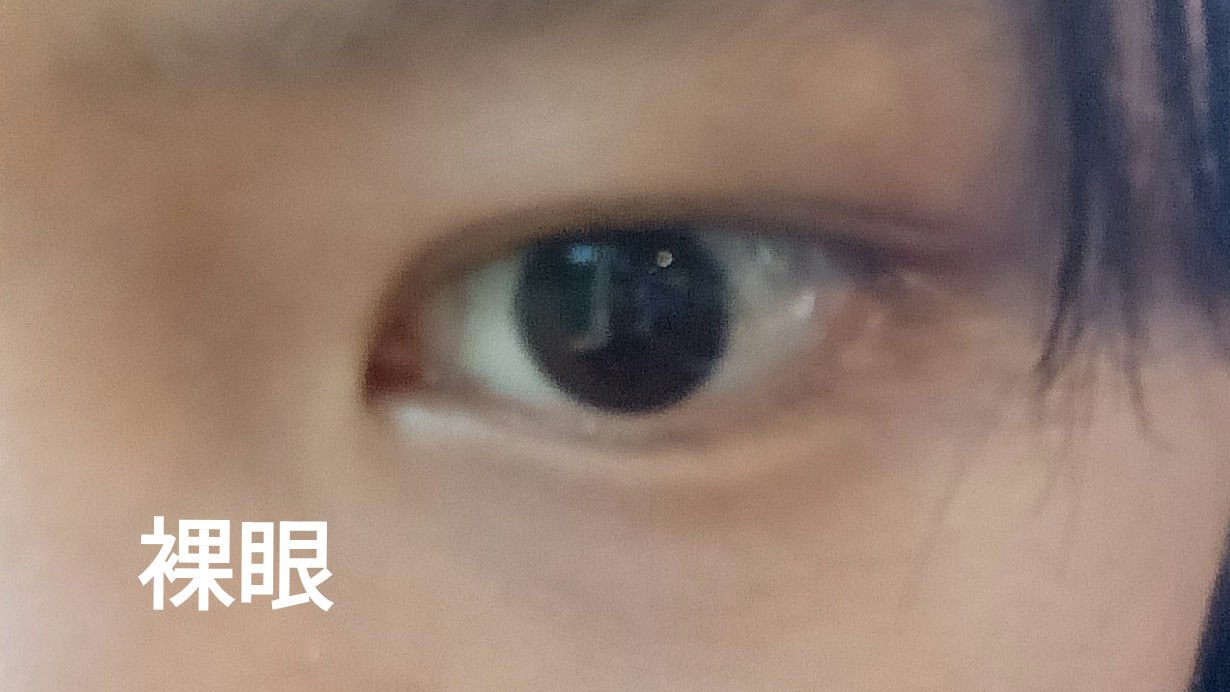 MOLAK 1day ドリームグレー/MOLAK/ワンデー（１DAY）カラコンを使ったクチコミ（3枚目）