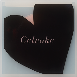 セルヴォーク ルミナスドーム ブラッシュ EX02 サンリットピーチ