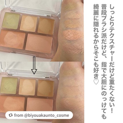 コンシールブレンダーパレット/LUNA/パレットコンシーラーを使ったクチコミ(5枚目)