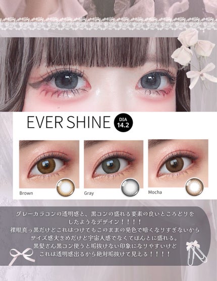 エバーシャインワンデー グレー/OLENS/ワンデー(1DAY)カラコンの画像