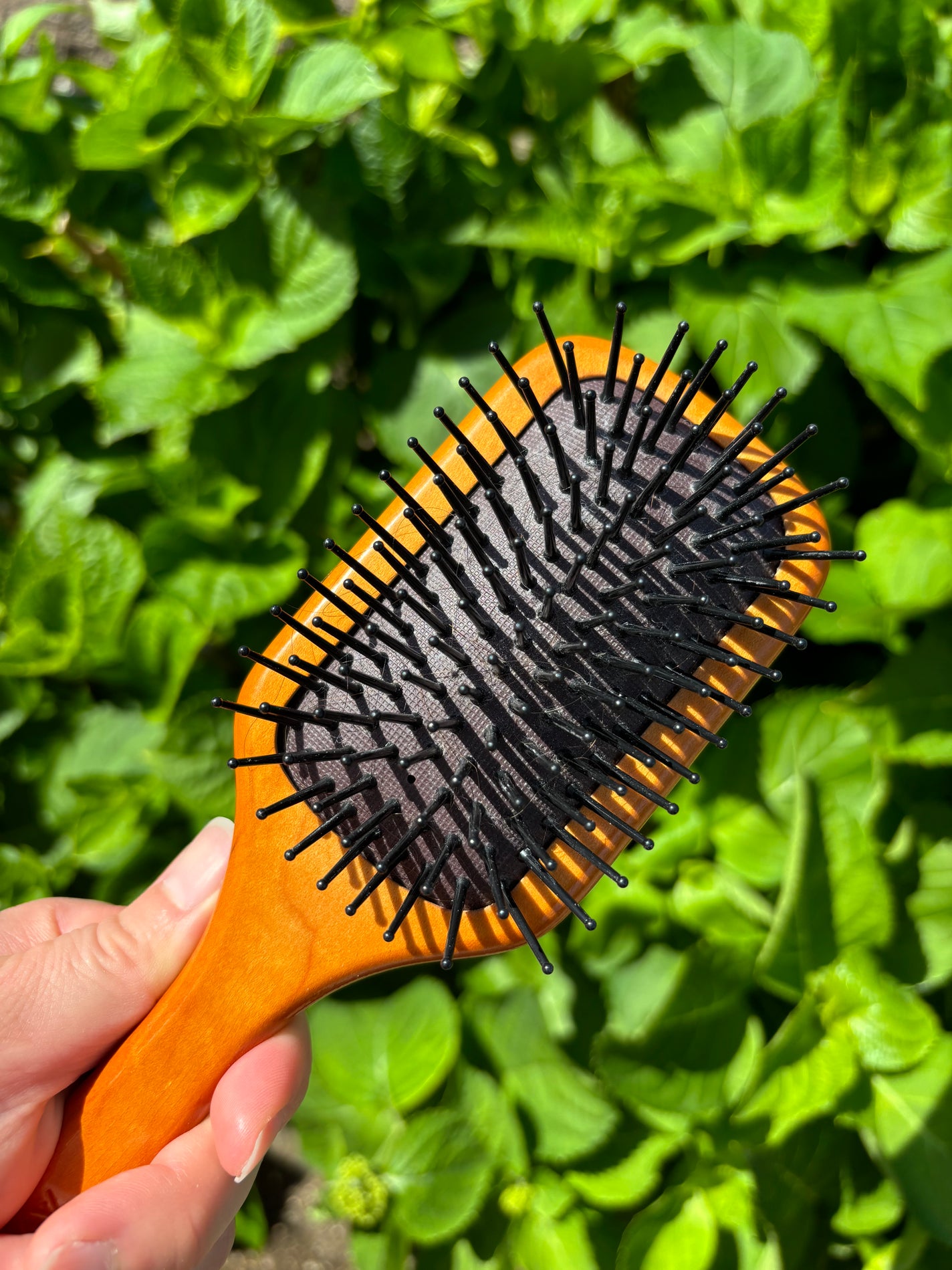 恵 on LIPS 「AVEDAパドルブラシミニサイズこちらのブラシ、気持ちいいです..」(1枚目)