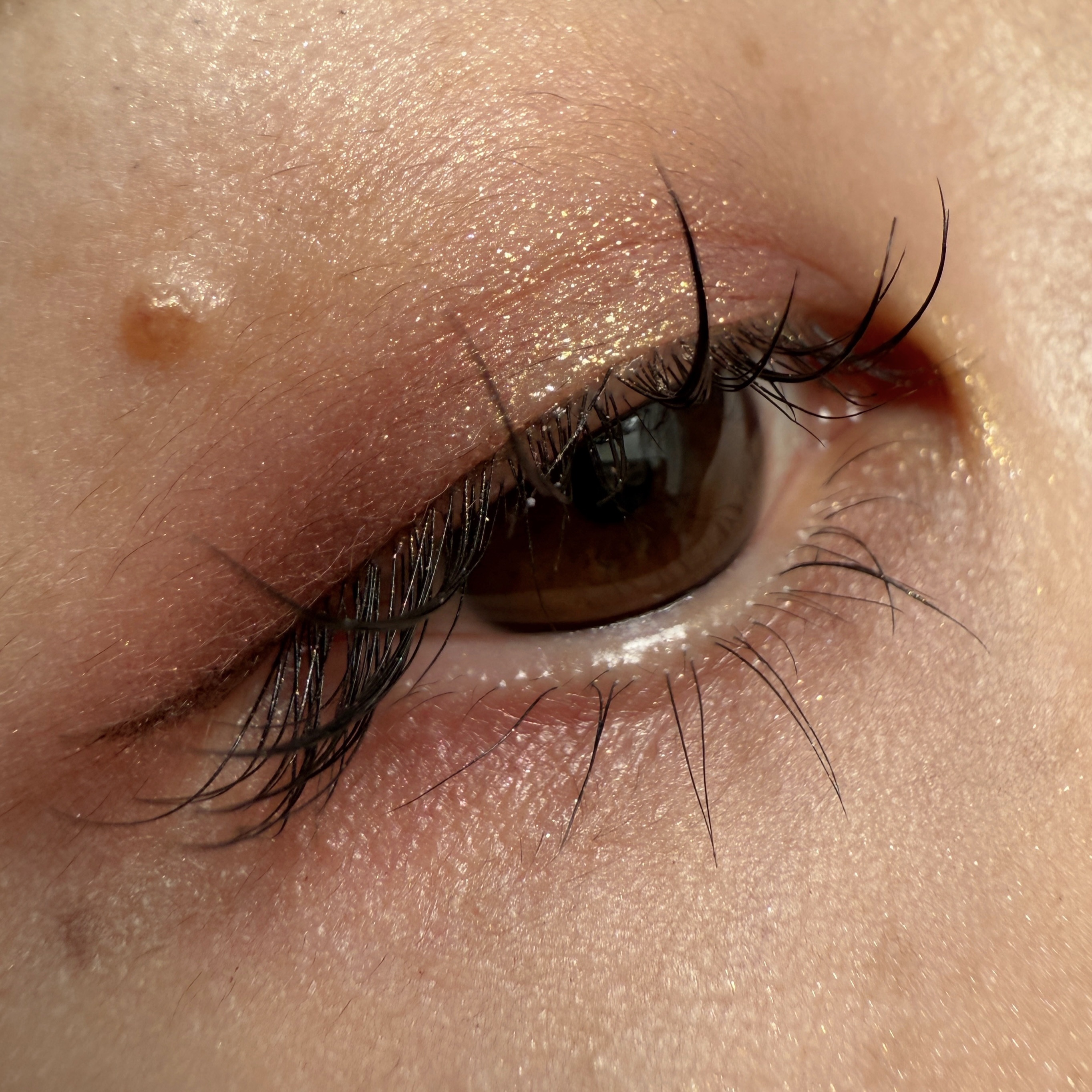 クチュール ミニ クラッチ/YVES SAINT LAURENT BEAUTE/アイシャドウパレットを使ったクチコミ（2枚目）