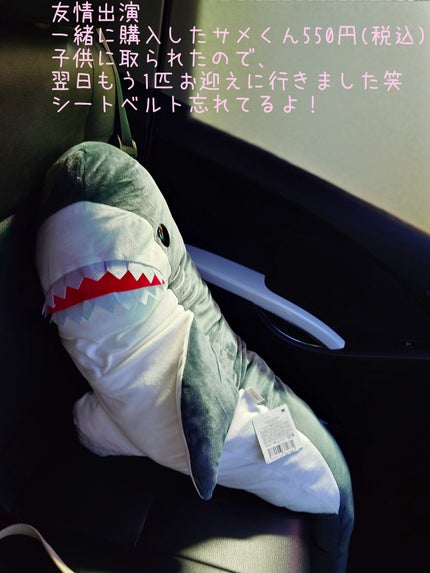 ケイト リップモンスター/KATE/口紅を使ったクチコミ(7枚目)