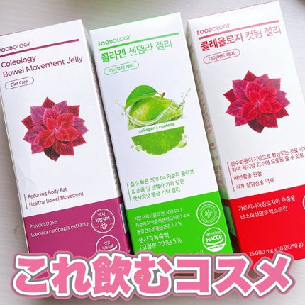 コレオロジーティー/FOODOLOGY/ドリンクを使ったクチコミ(1枚目)