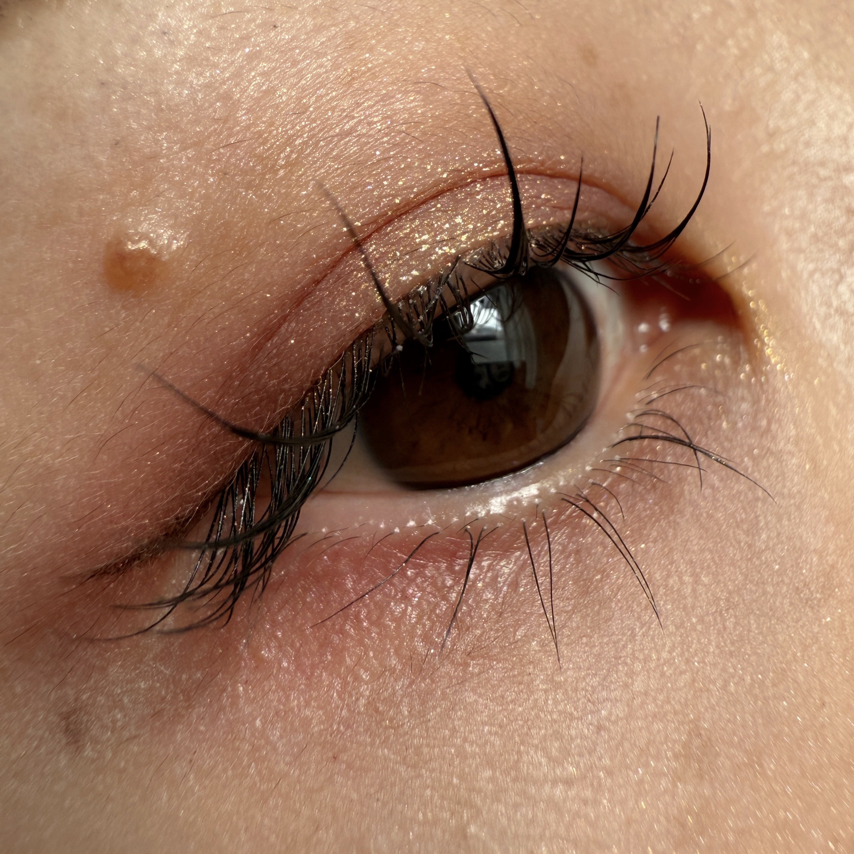 クチュール ミニ クラッチ/YVES SAINT LAURENT BEAUTE/アイシャドウパレットを使ったクチコミ（1枚目）