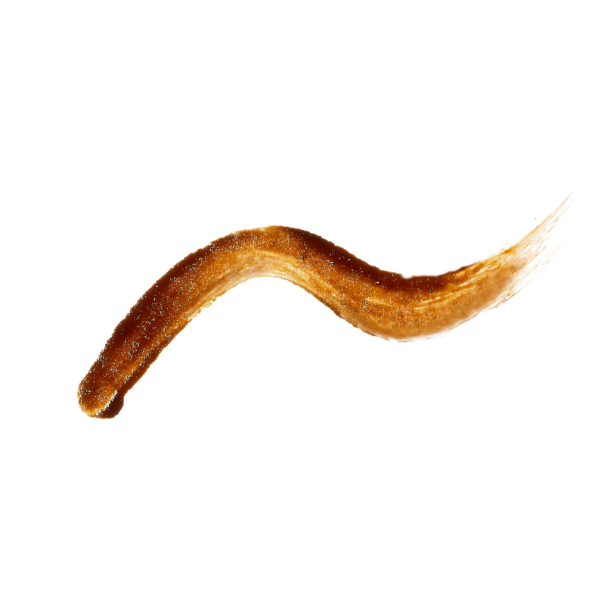 03 ライトブラウン