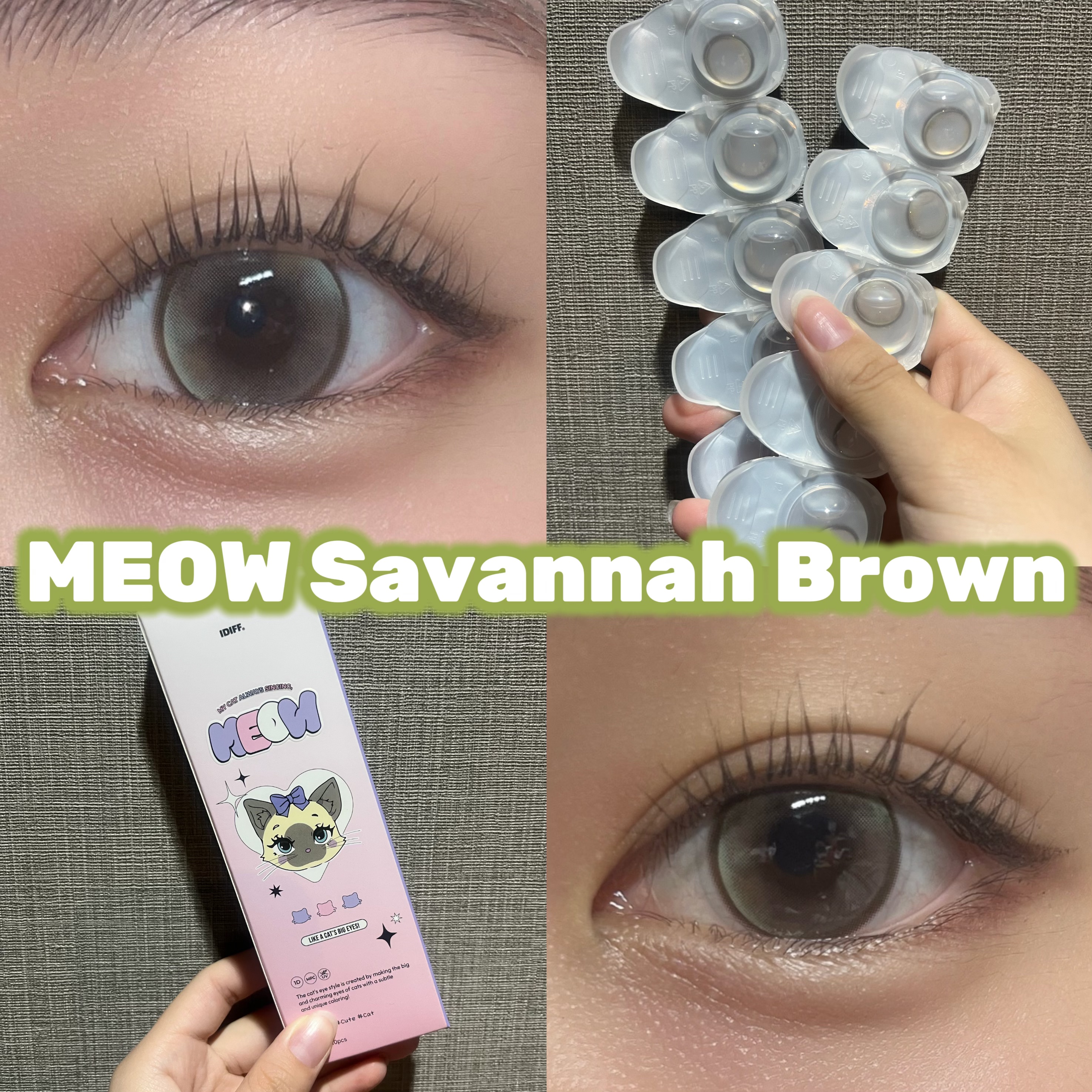 IDIFF MEOW 1DAY/OLOLA/ワンデー（１DAY）カラコンを使ったクチコミ（1枚目）
