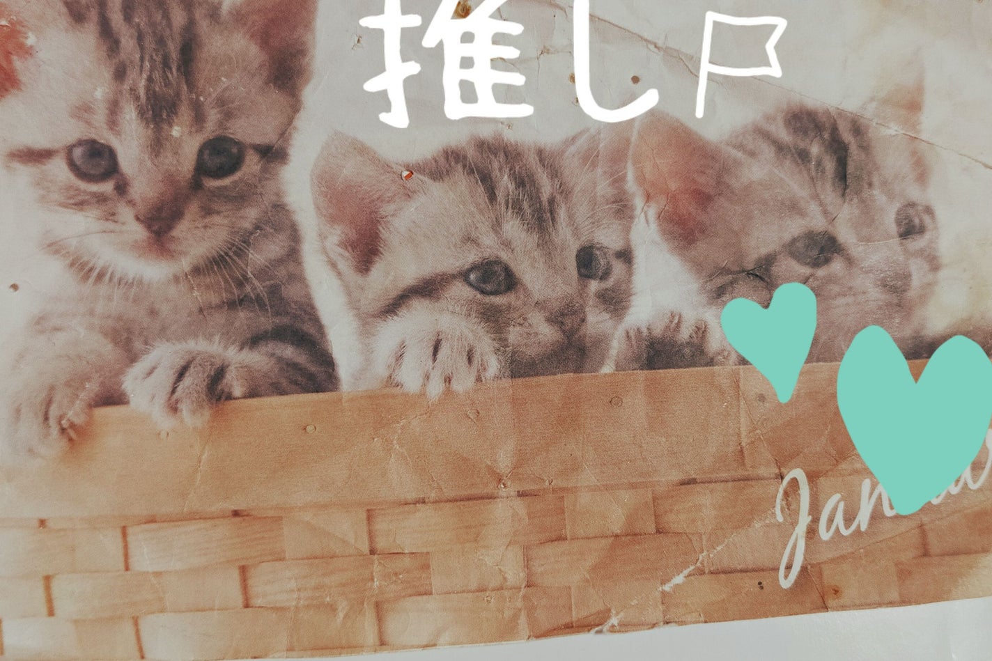 集中保湿福袋300枚/MITOMO/シートマスク・パックを使ったクチコミ(6枚目)