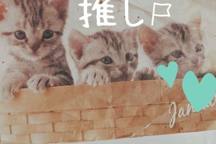 集中保湿福袋300枚/MITOMO/シートマスク・パックを使ったクチコミ(6枚目)