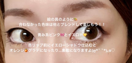 マルチカラーバリエーション マット/チャコット・コスメティクス/単色アイシャドウを使ったクチコミ(4枚目)