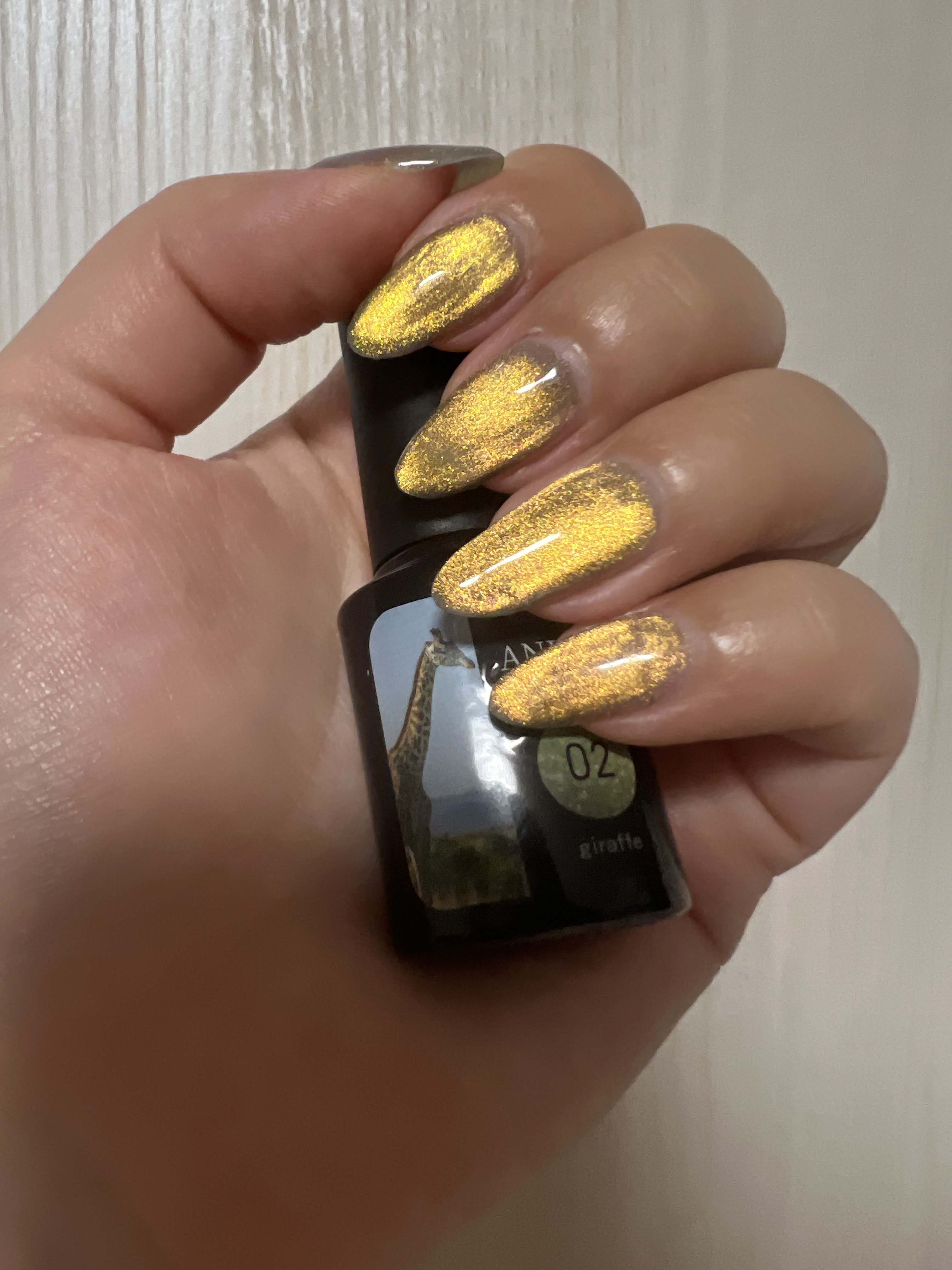 アニマルマグネットジェル/ネイル工房/ジェルネイルを使ったクチコミ（2枚目）