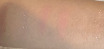 ベターミーアイパレット/2aN/マルチパレットを使ったクチコミ(2枚目)