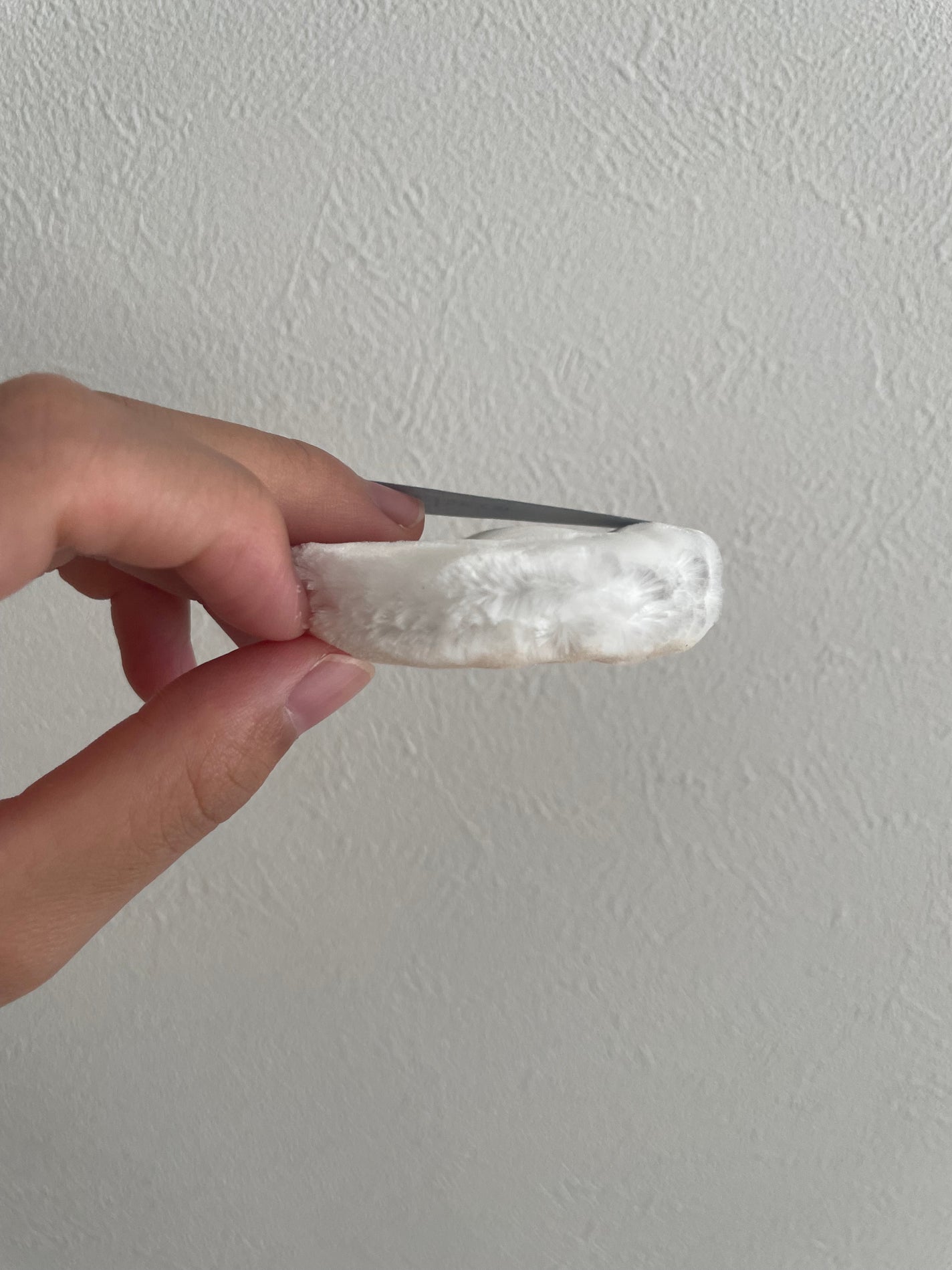 フィニッシングパウダー マット/チャコット・コスメティクス/ルースパウダーを使ったクチコミ(2枚目)