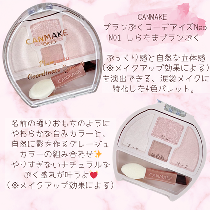 プランぷくコーデアイズNeo/キャンメイク/アイシャドウを使ったクチコミ(2枚目)