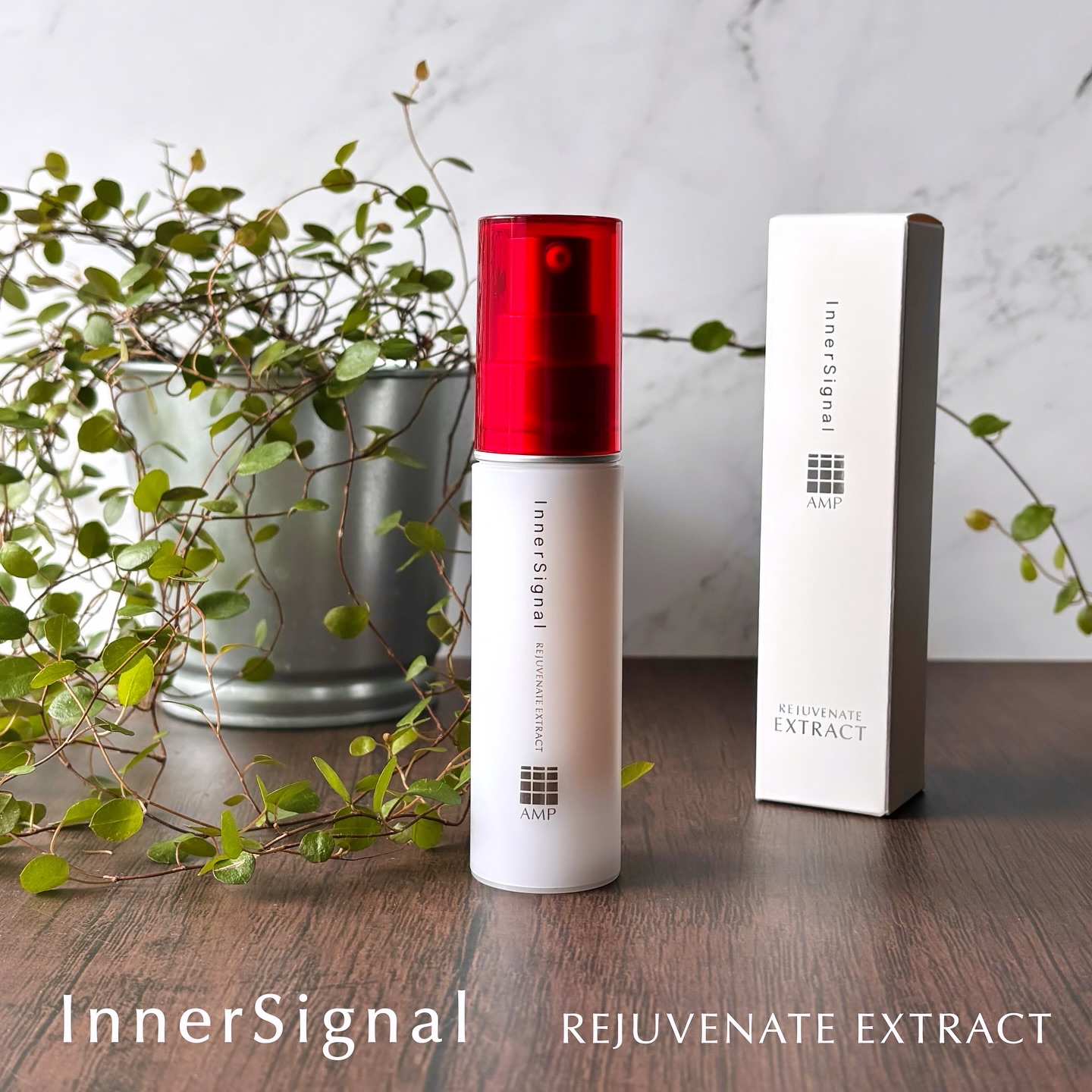 インナーシグナル　リジュブネイトエキス30ml オンラインコスメ・美容 - インナーシグナル リジュブネイトエキス