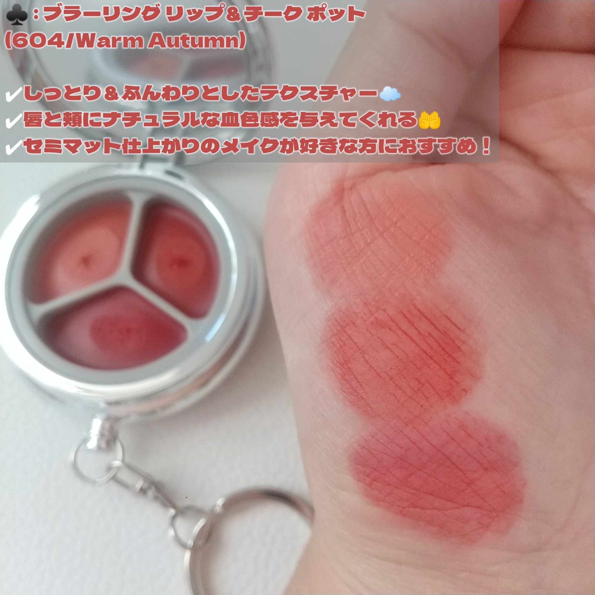 ブラーリングタイムトゥーキスアンドブラッシュ/Dinto/口紅を使ったクチコミ（3枚目）