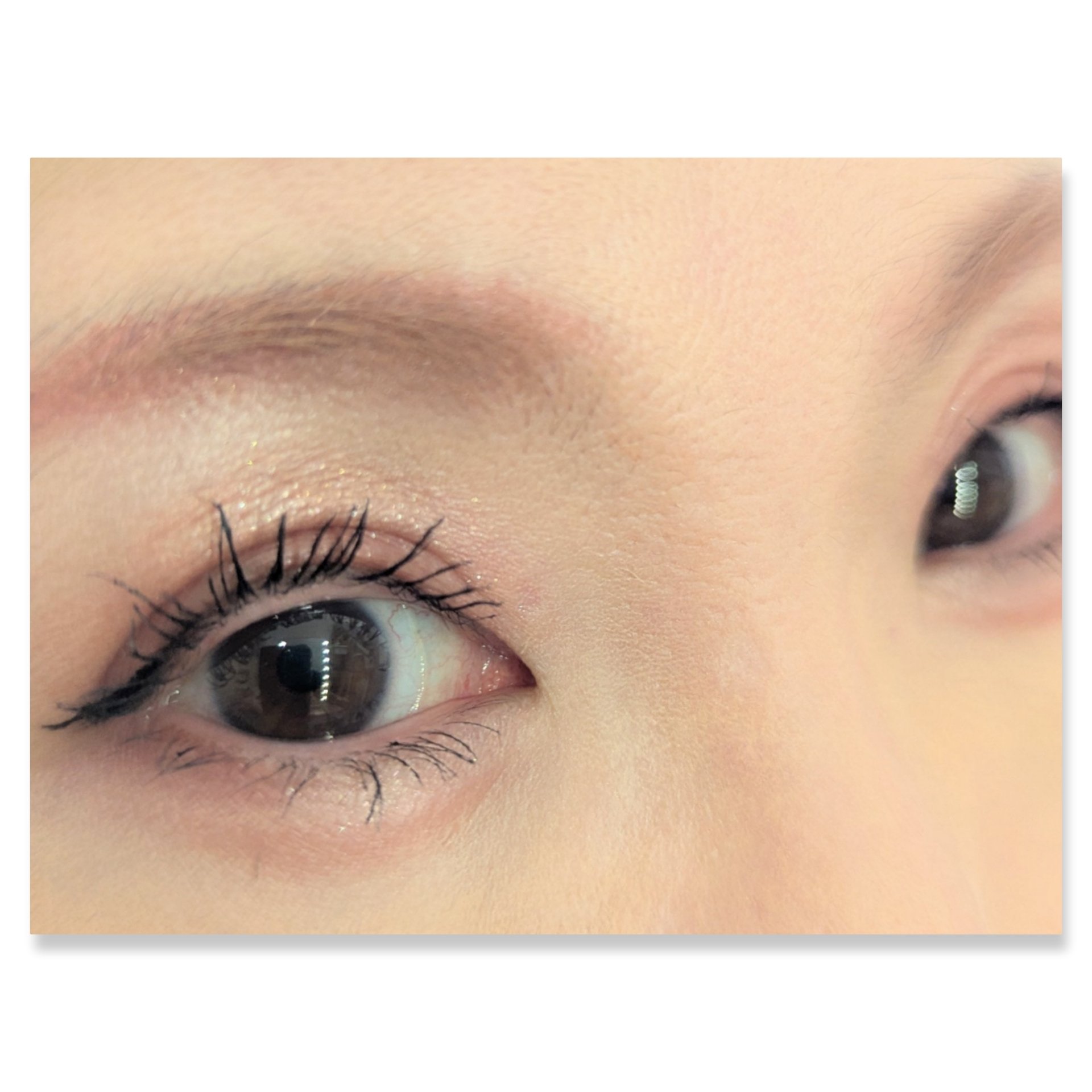 パノラマデザイン アイパレット/Visée/アイシャドウパレットを使ったクチコミ（2枚目）