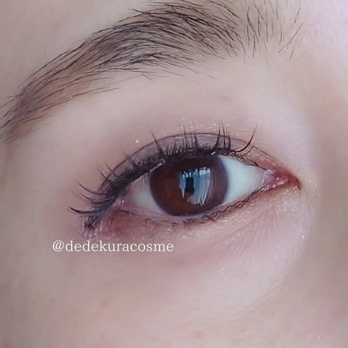 3CE マルチアイカラーパレット シャイアッシュ (3CE マルチアイカラーパレット L)/3CE/アイシャドウパレットを使ったクチコミ（2枚目）