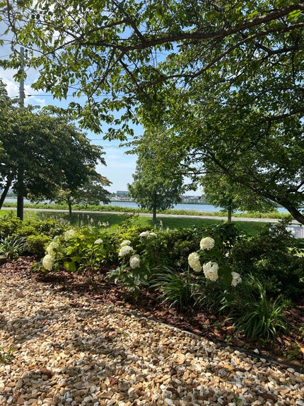 ひふみレイキ💫フォロバ♾️ on LIPS 「手賀沼沿いの農家直営道の駅しょうなん「野菜レストラン」でランチ..」(2枚目)