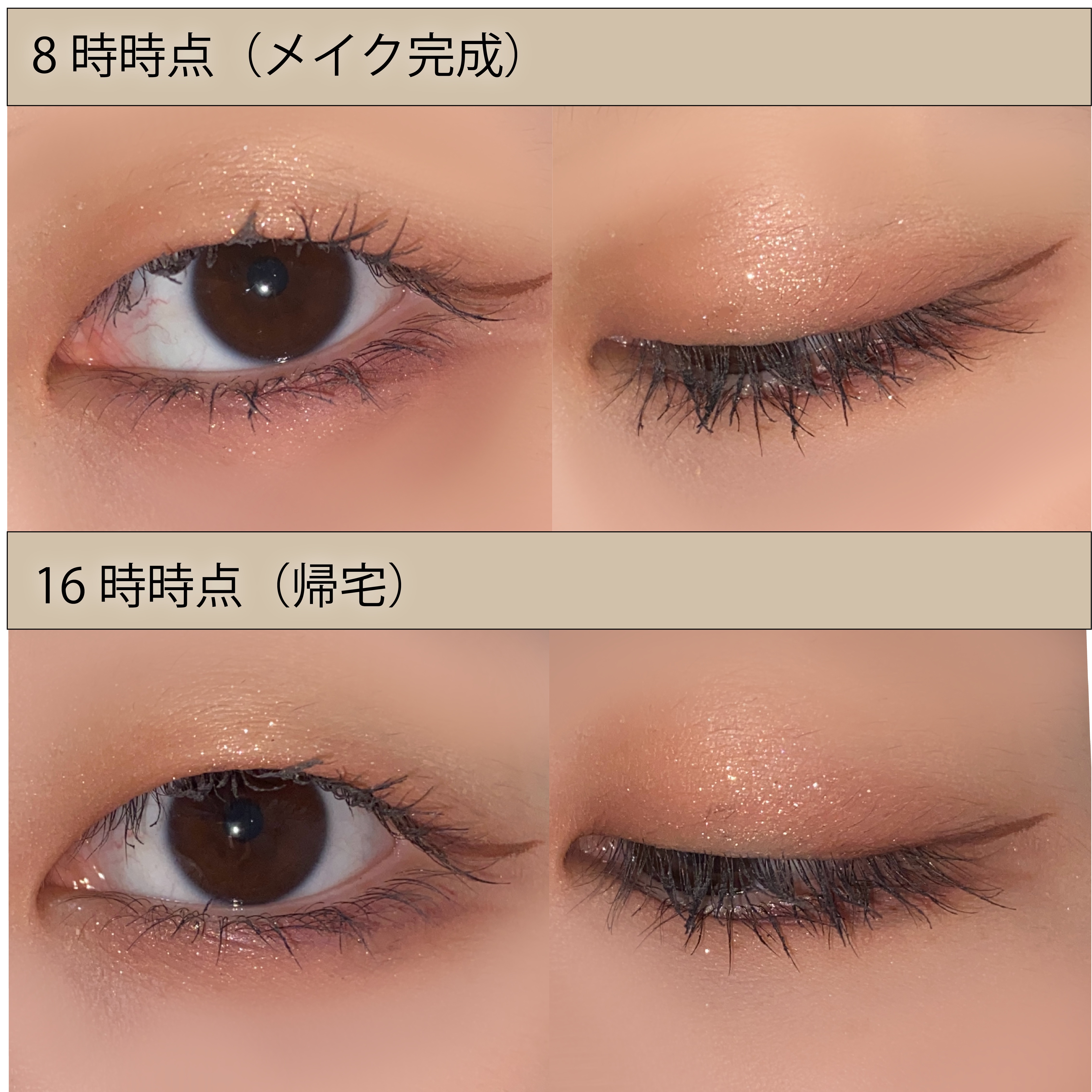 エクスプローラ12色 動物アイシャドウパレット/PERFECT DIARY/アイシャドウパレットを使ったクチコミ（3枚目）