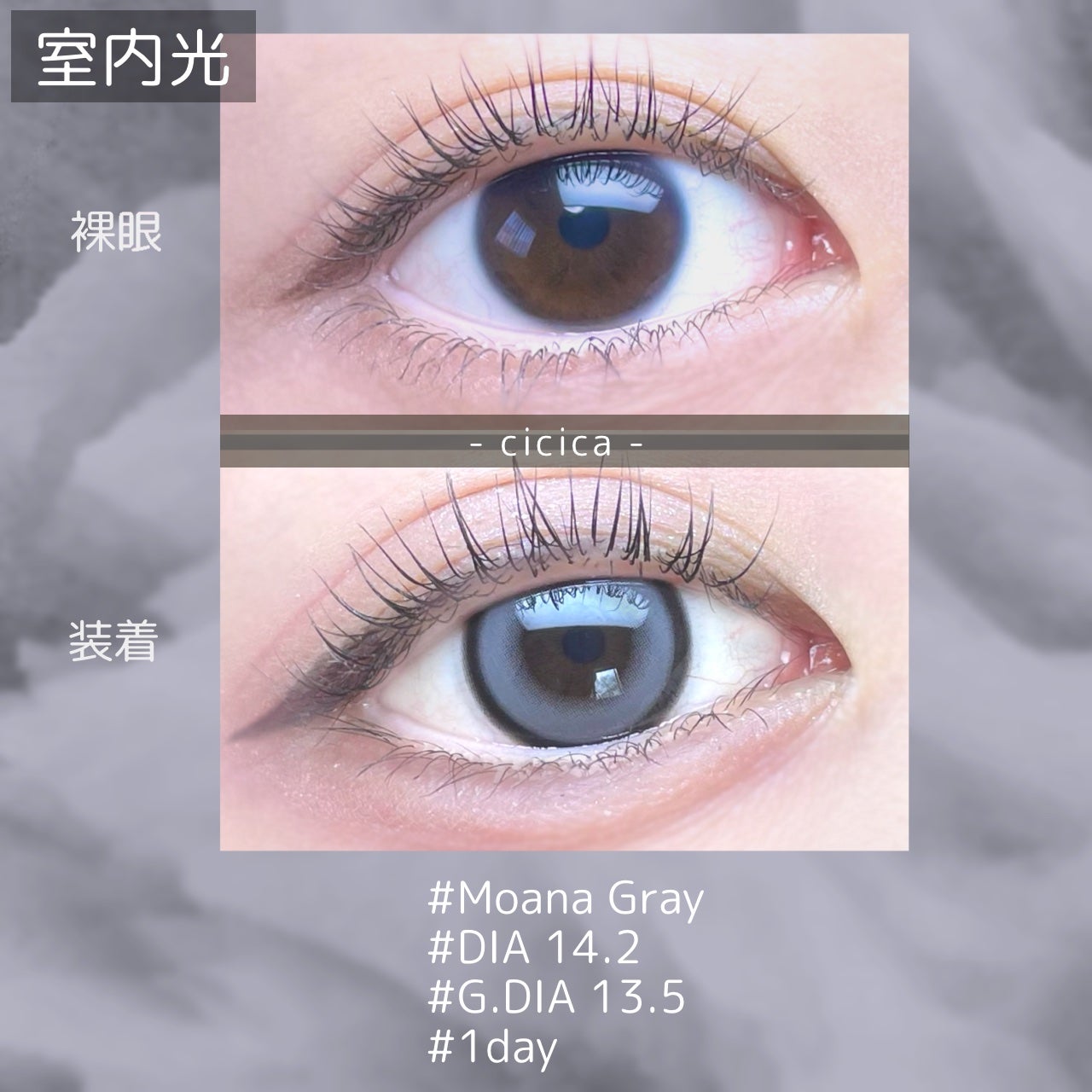 cicica 1day/cicica/ワンデー(1DAY)カラコンを使ったクチコミ(2枚目)