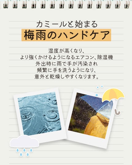 ハンド&ネイルクリーム クラシック 100ML/カミール/ハンドクリームを使ったクチコミ(2枚目)