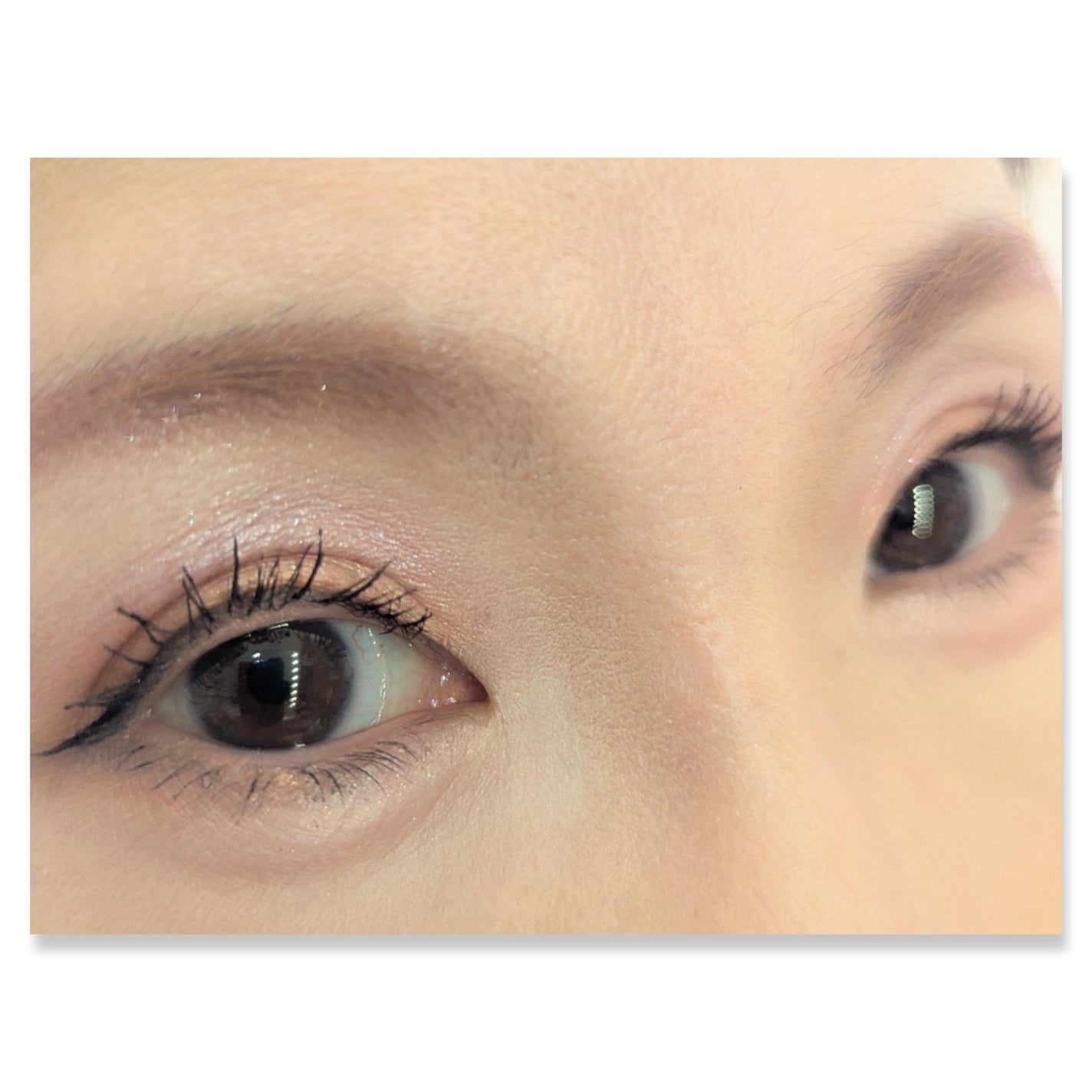 ル・ヌフ・ジバンシイ/GIVENCHY/アイシャドウパレットを使ったクチコミ(2枚目)