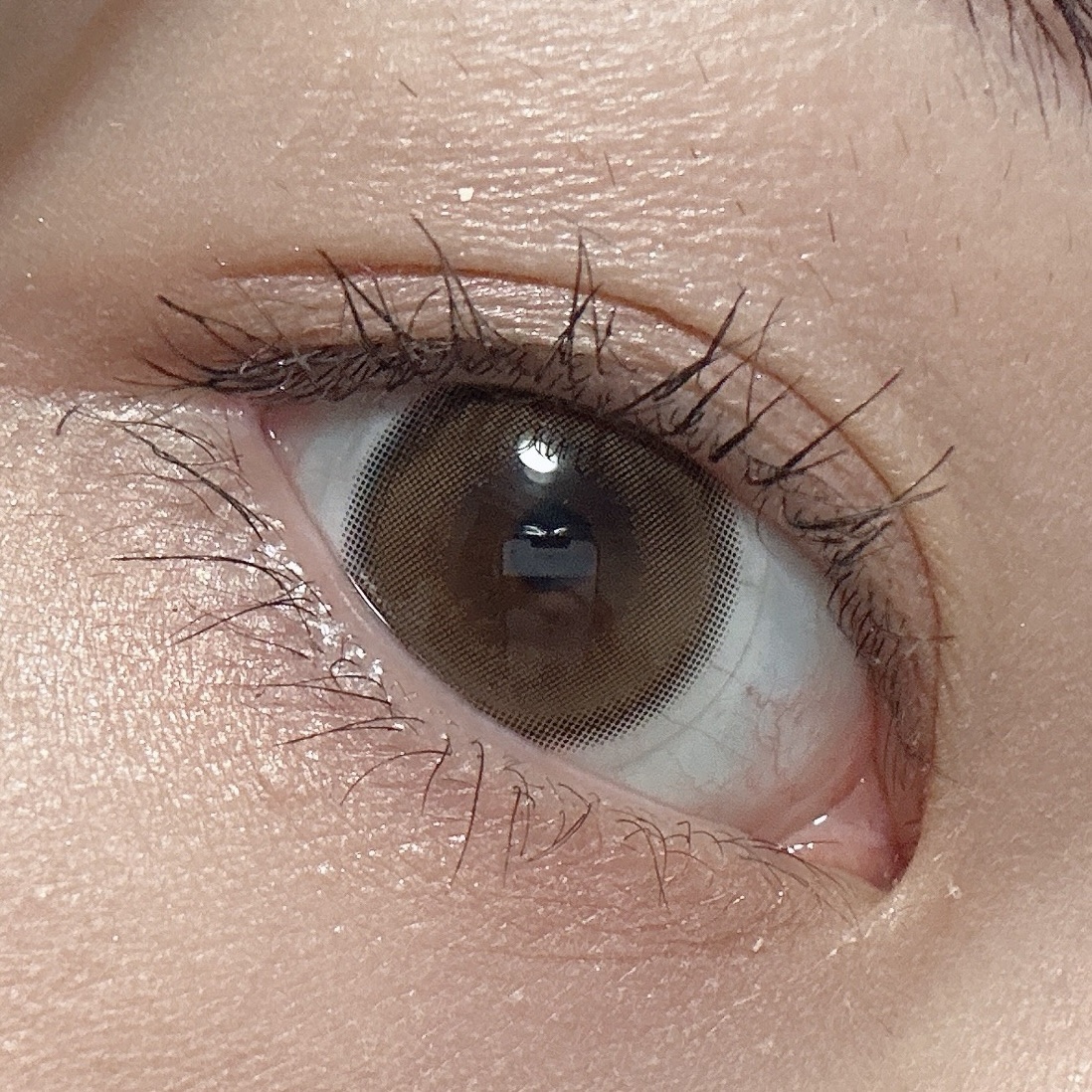 ニュアンス デューイ クリエイター/Visée/アイシャドウパレットを使ったクチコミ（2枚目）